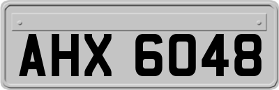 AHX6048