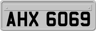 AHX6069
