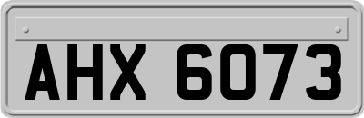 AHX6073