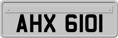 AHX6101