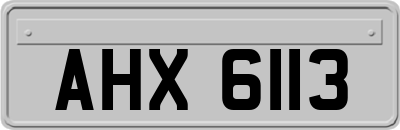 AHX6113