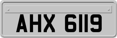 AHX6119