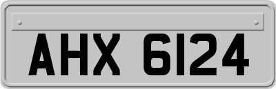 AHX6124