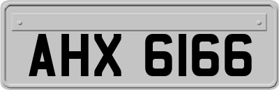 AHX6166