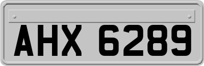 AHX6289