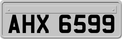 AHX6599