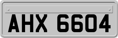 AHX6604