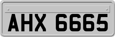 AHX6665
