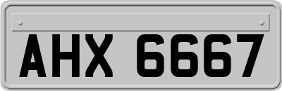 AHX6667