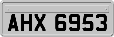 AHX6953
