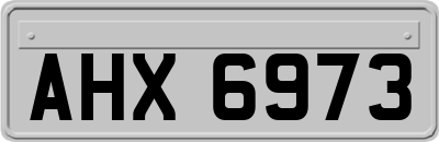AHX6973