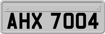 AHX7004