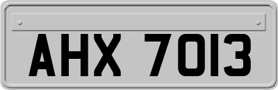 AHX7013