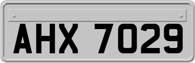 AHX7029
