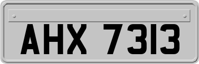 AHX7313