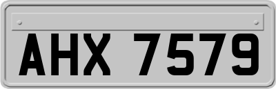 AHX7579