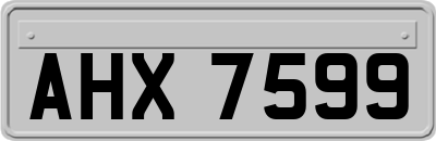 AHX7599