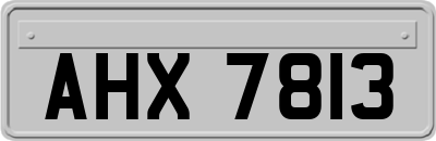 AHX7813