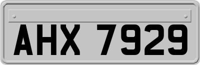 AHX7929