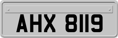 AHX8119