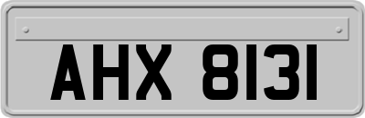 AHX8131