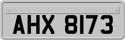 AHX8173