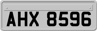 AHX8596