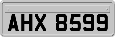 AHX8599
