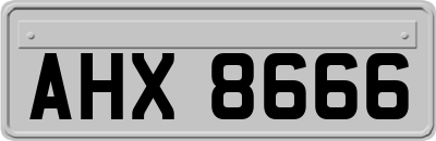 AHX8666