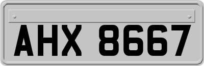 AHX8667