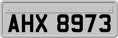 AHX8973