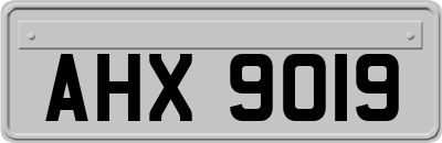 AHX9019