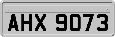 AHX9073