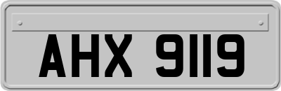 AHX9119