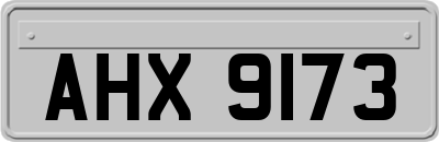 AHX9173