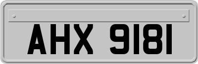 AHX9181