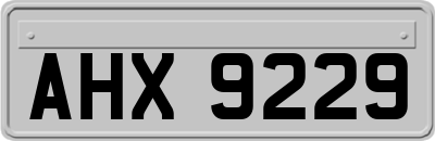 AHX9229