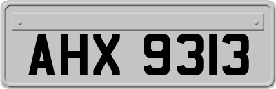 AHX9313