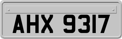 AHX9317