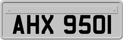 AHX9501