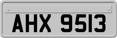 AHX9513