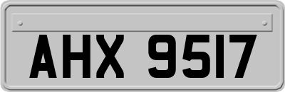 AHX9517