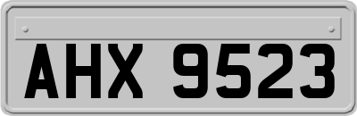 AHX9523