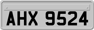 AHX9524