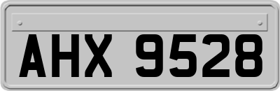 AHX9528