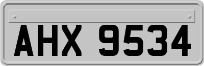 AHX9534