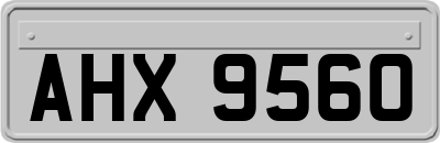 AHX9560