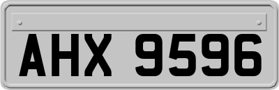 AHX9596