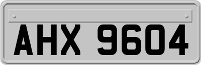 AHX9604