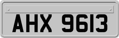 AHX9613